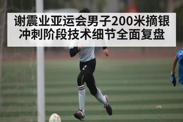 谢震业亚运会男子200米摘银冲刺阶段技术细节全面复盘